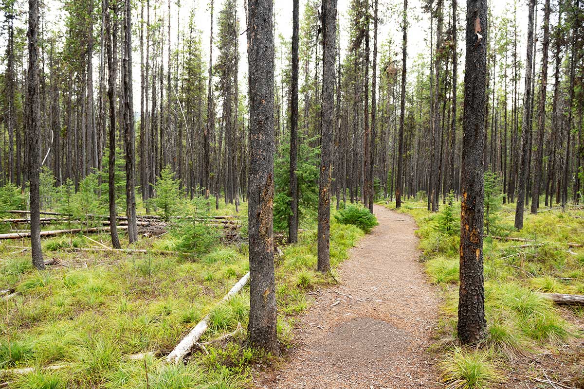 Hiking Hiking - River Edge Resort &Amp; Steakhouse