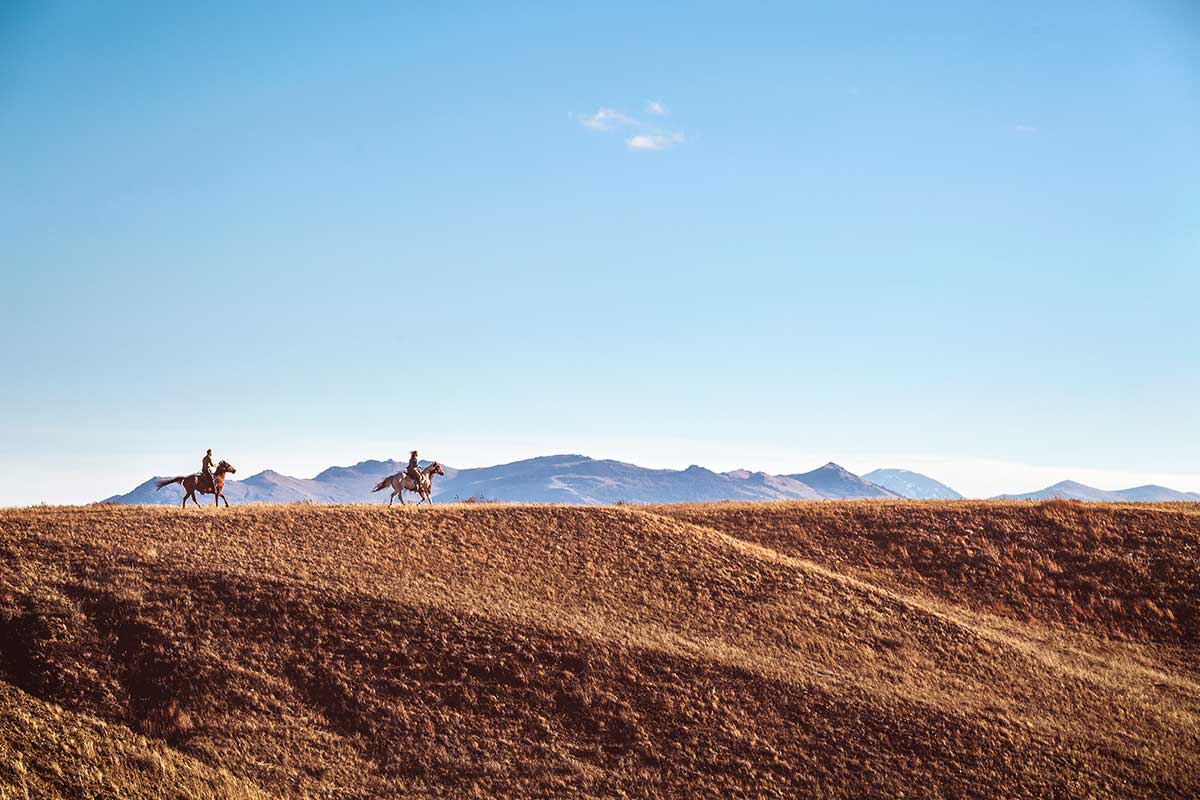 Horseback-Riding Horseback Riding - River Edge Resort &Amp; Steakhouse